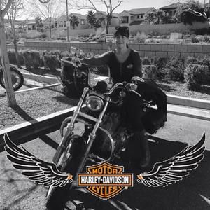 Meet your Posher, Dawn